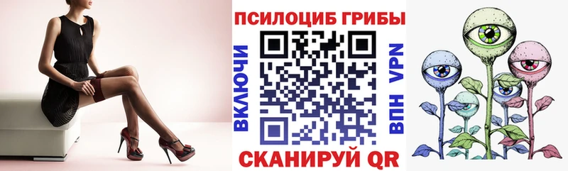 Псилоцибиновые грибы Psilocybine cubensis Кунгур